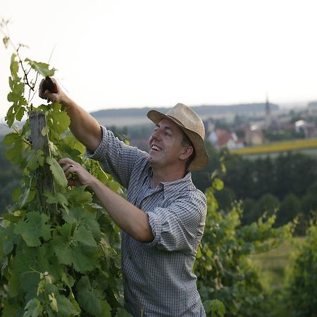 Worners Schloss Weingut & Wellness-Hotel Prichsenstadt Luaran gambar