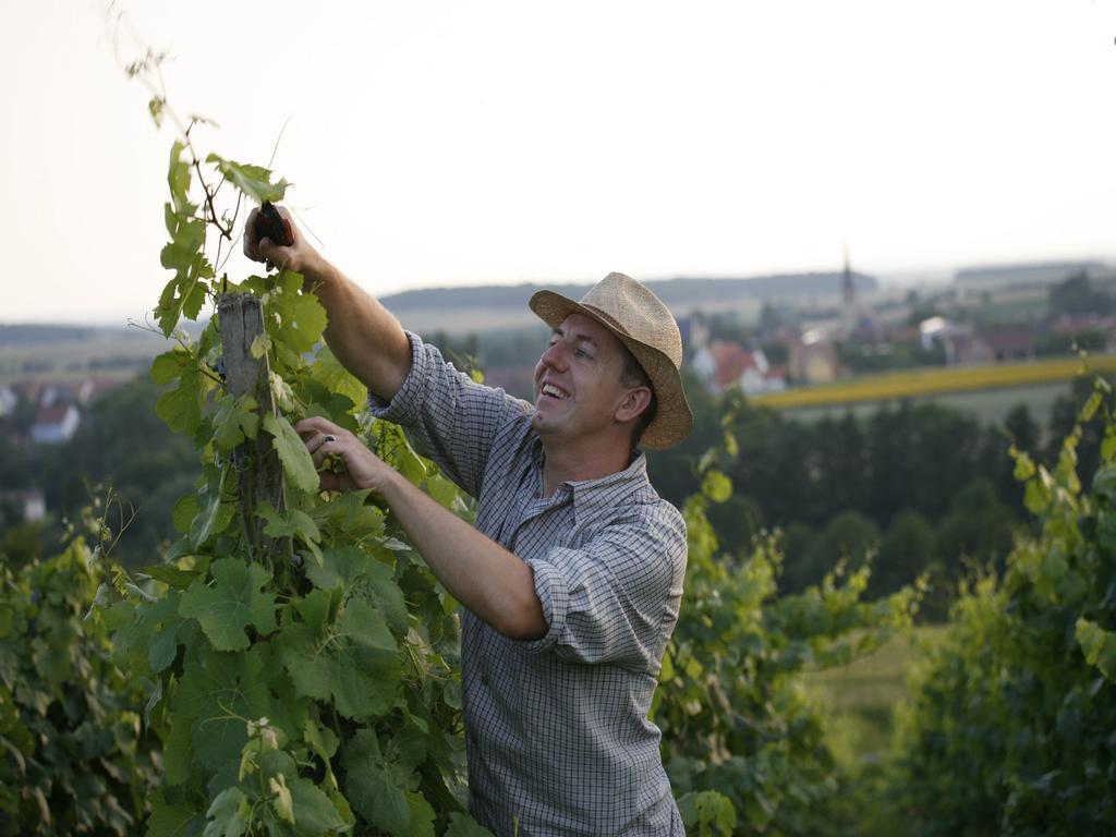 Worners Schloss Weingut & Wellness-Hotel Prichsenstadt Luaran gambar