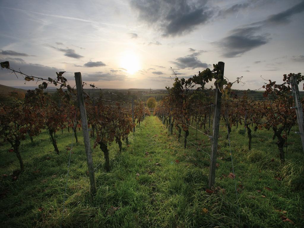 Worners Schloss Weingut & Wellness-Hotel Prichsenstadt Luaran gambar